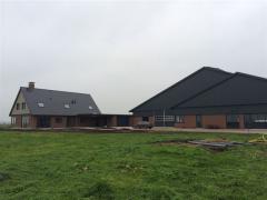 Woning + Stallen de Boer Garijp